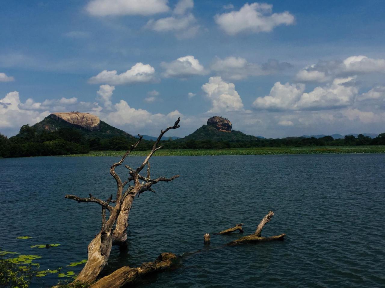 Perfect Hideout Hotel ดัมบูลลา ภายนอก รูปภาพ